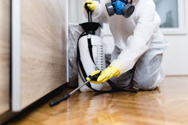 Best Termite Control Services  in Brownsboro, TX