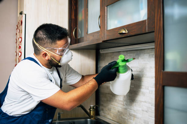 Best Flea Control Services  in Brownsboro, TX