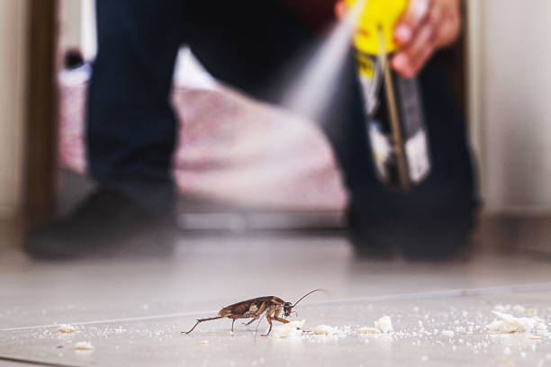 Best Mosquito Control Services  in Brownsboro, TX