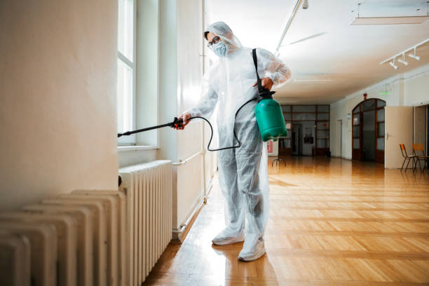 Best Insect Control  in Brownsboro, TX