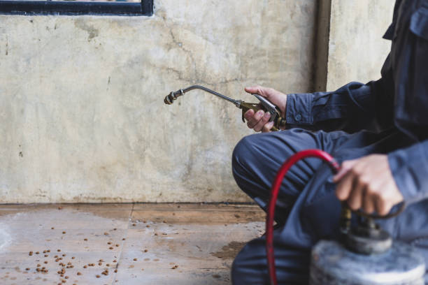Professional Pest Control in Brownsboro, TX